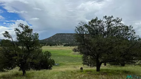 177 Thomas Iv, Datil, NM 87821 photo 1