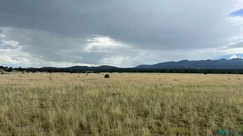 177 Thomas Iv, Datil, NM 87821 photo 25