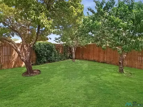 2229 Enloe Dr, Clovis, NM 88101 photo 33