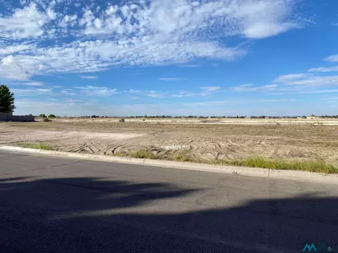 1120 W Brittany St, Hobbs, NM 88240