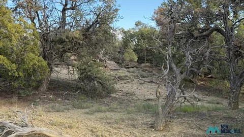 89 Ponderosa Views Loop, Pie Town, NM 87827
