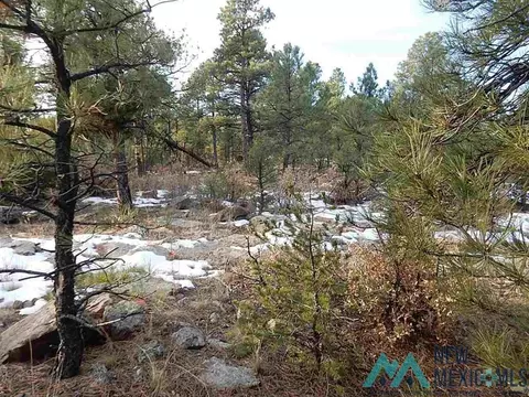 tbd County Rd 13, Buena Vista, NM 87712