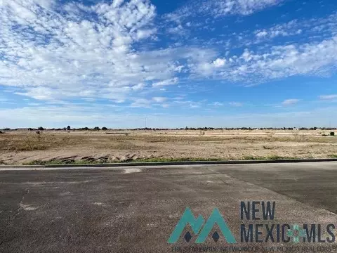 5110 N Camelot St, Hobbs, NM 88240
