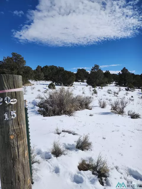 42 E Sawtooth Dr, Pie Town, NM 87827