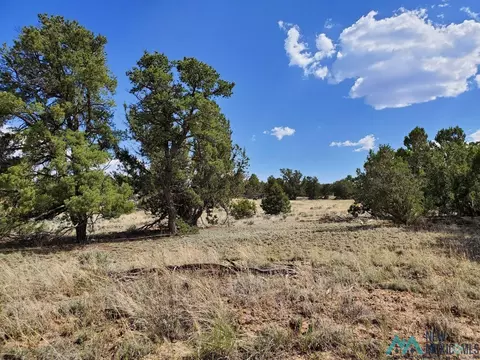 Pinon Trails, Pie Town, NM 87827