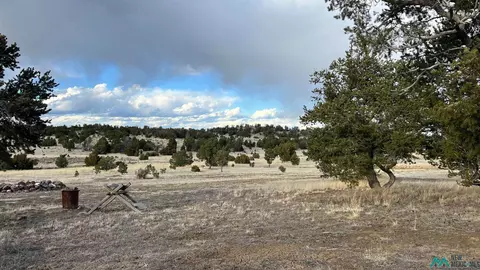 123 Blue Hls, Pie Town, NM 87827 photo 44