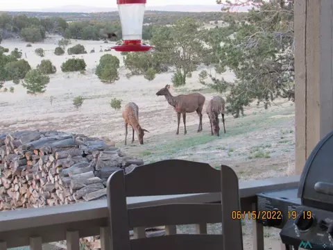 123 Blue Hls, Pie Town, NM 87827 photo 48
