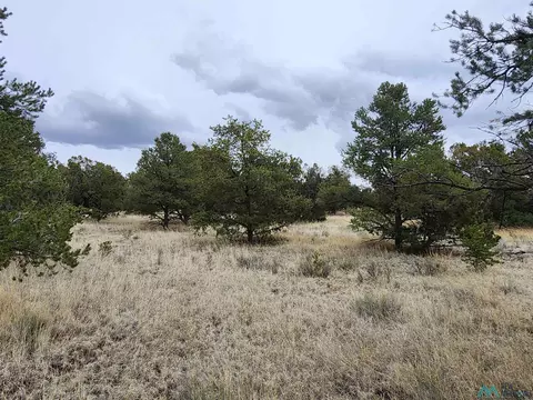 123 Blue Hls, Pie Town, NM 87827 photo 46