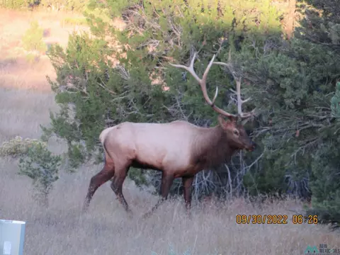 123 Blue Hls, Pie Town, NM 87827 photo 7