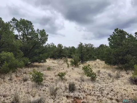 123 Blue Hls, Pie Town, NM 87827 photo 45