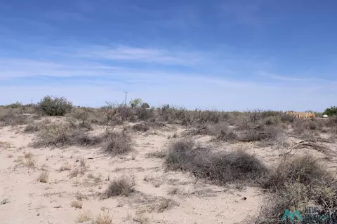 Camila Rd Se, Deming, NM 88030