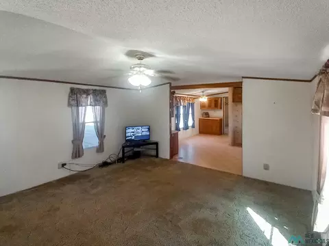 25 Lasso Rd, Clovis, NM 88101 photo 20