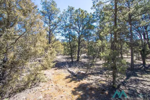74 Pinehaven, Gallup, NM 87305 photo 48