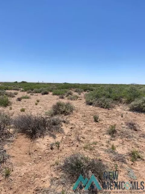 Northeast Of Deming, Deming, NM 88030