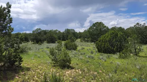 Shadow Canyon Ridge Road, Fence Lake, NM 87315
