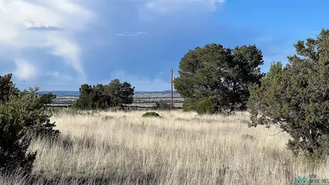 County Road 35d, Fence Lake, NM 87315