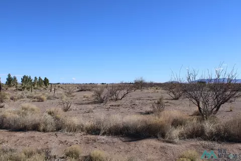 Camino De Valdes Rd Sw, Deming, NM 88030