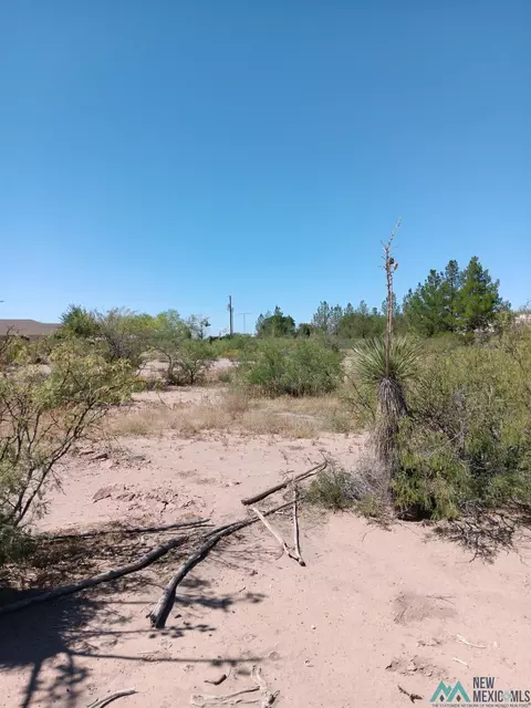 Majestic View Rd St, Deming, NM 88030