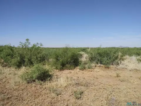 SW Pelayo, Deming, NM 88030