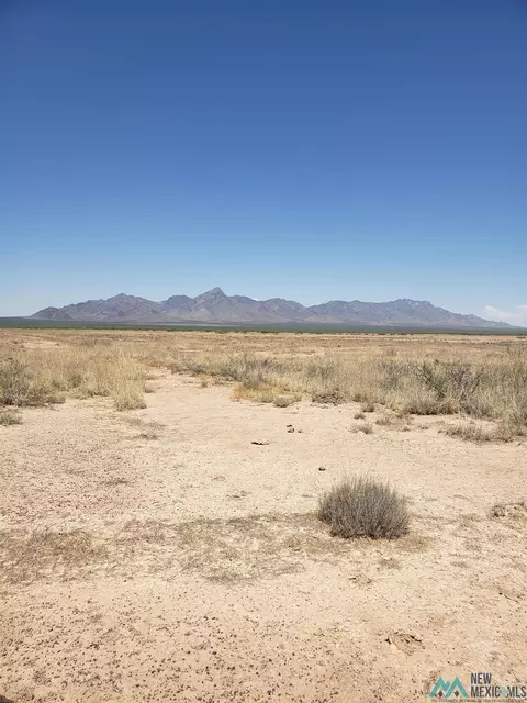 De Los Vecinos, Deming, NM 88030