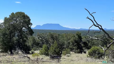 Ocaso, Pie Town, NM 87827