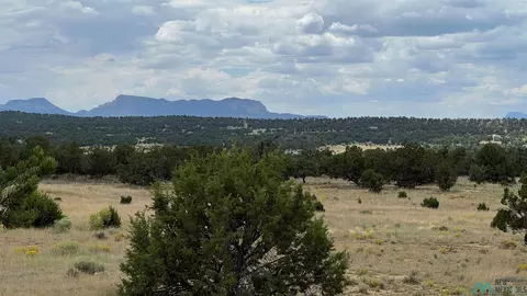 Sky View St/ponderosa View, Pie Town, NM 87827