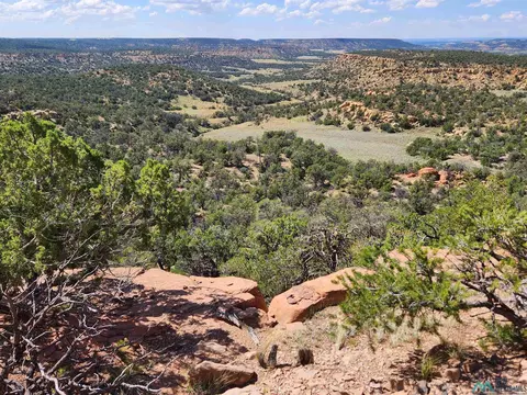 69 Rincon Hondo Cyn, Fence Lake, NM 87315