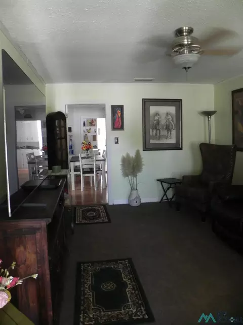 419 E Main Ave, Fort Sumner, NM 88119 photo 5