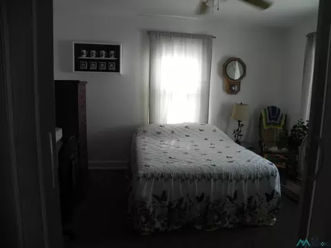 419 E Main Ave, Fort Sumner, NM 88119 photo 20