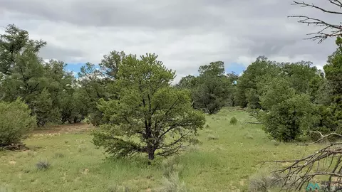 Blue Hills, Pie Town, NM 87827