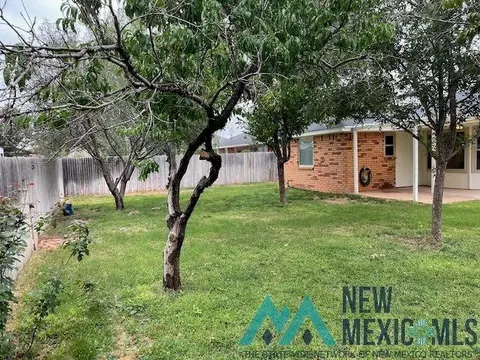 1704 Morse Ave, Clovis, NM 88101 photo 18
