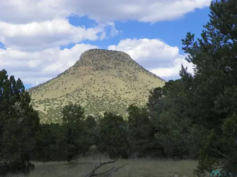 85 Northern, Datil, NM 87821