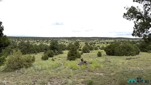 7 Indian Maiden Ct, Quemado, NM 87829