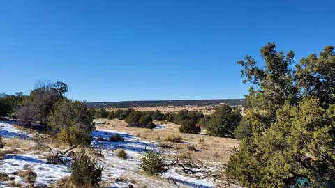 Indian Maiden, Quemado, NM 87829