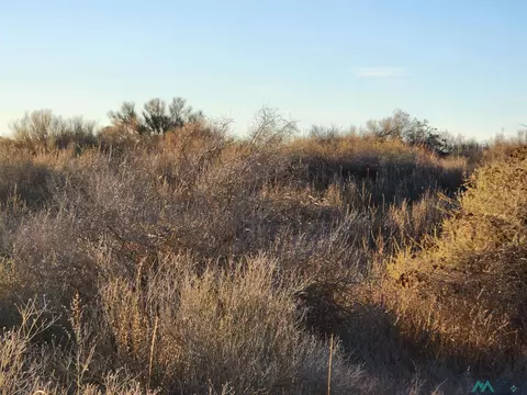 00 Sunshine Rd Se Rd, Deming, NM 88030