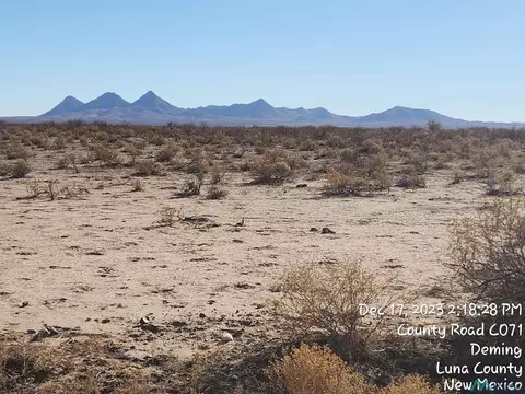 Madison, Deming, NM 88030