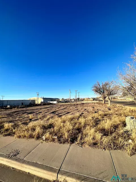 317 S Dalmont St, Hobbs, NM 88240