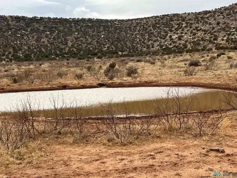 16 County Rd C56a, Trementina, NM 88439