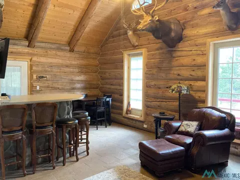 39 Lakeview Dr, Quemado, NM 87829 photo 9