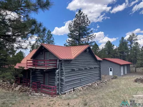 39 Lakeview Dr, Quemado, NM 87829 photo 4