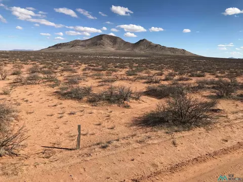 Pearl Onion Road, Deming, NM 88030