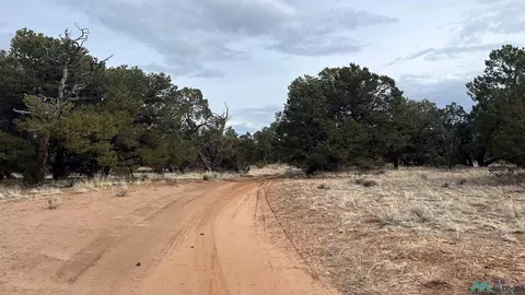 26 Big Tooth Dr, Pie Town, NM 87827