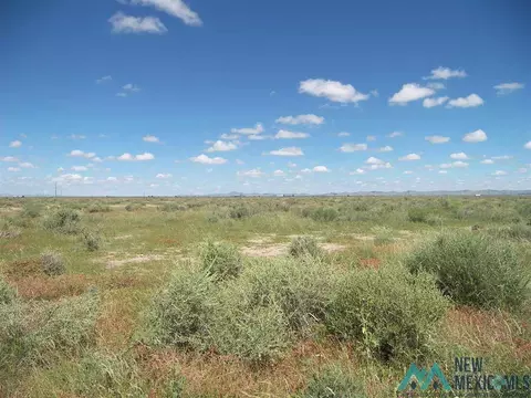 Poco Loco Rd Ne, Deming, NM 88030
