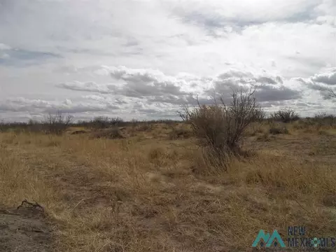 Elfido Rd Ne, Deming, NM 88030