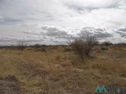 Elfido Rd Ne, Deming, NM 88030