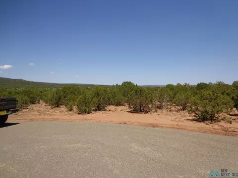 Tr 2a Camino Del Sol Road, Bernal, NM 87569
