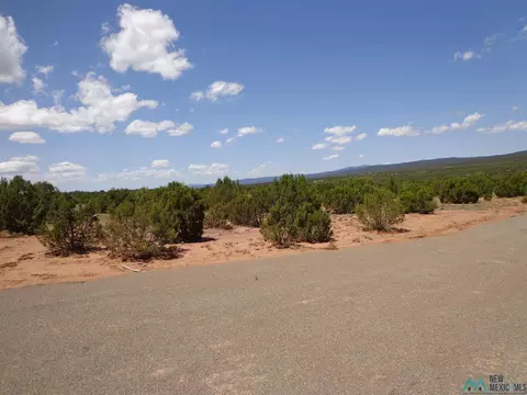 Tr 1a Camino Del Sol Road, Bernal, NM 87569