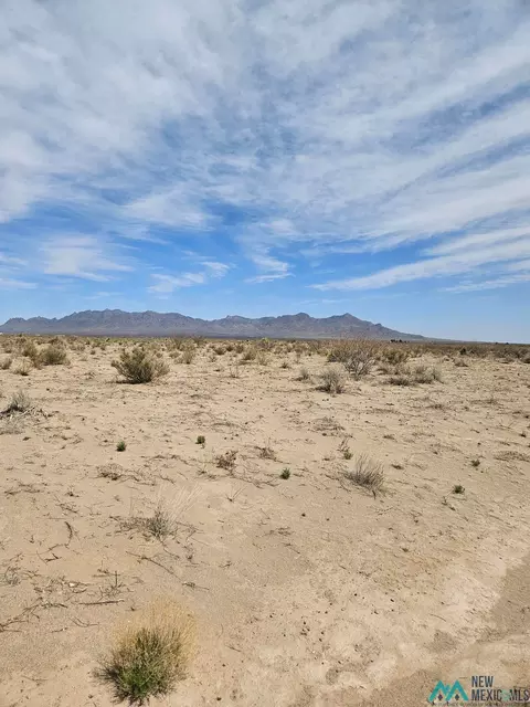 SW Prairie, Deming, NM 88030