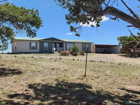 Eagle Claw, Pie Town, NM 87827