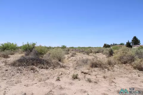 Hondo Rd Sw, Deming, NM 88030